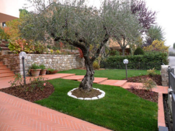 Aziende in rete vivaio cieli e terra nuova mutuo credito Sistemazione giardini privati