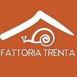 fattoria trenta